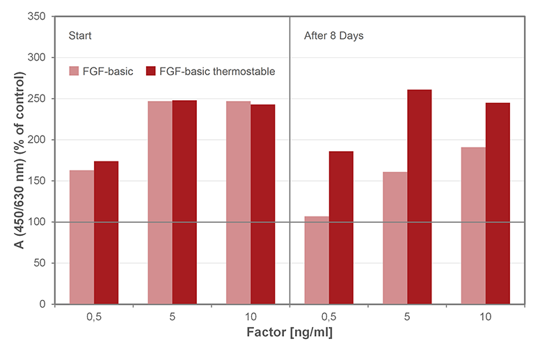 <strong>Fig. 1</strong>: Stability of Thermostable FGF-basic after 8 Days of Incubation - Proliferation with HUVEC (HU2007-02).