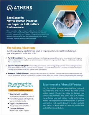 Titelblatt des Flyers Cell Excellence in Native Human Proteins For Superior Cell Culture Performance
