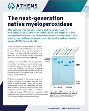 Titelblatt des Flyers The next-generation native myeloperoxidase