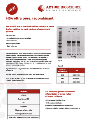Titelblatt des Flyers HSA ultra pure recombinant