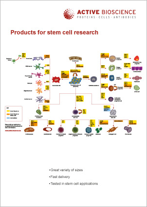 Titelblatt des Flyers Products for stem cell research